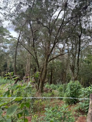 Terreno en Venta -  Tronco 10 El Encinal, zona 7 Mixco — Terreno en Venta en El Encinal, Zona 7 Mixco, Guatemala, Ciudad — miniatura 3 de 6