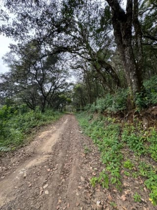Terreno en Venta -  Tronco 10 El Encinal, zona 7 Mixco — Terreno en Venta en El Encinal, Zona 7 Mixco, Guatemala, Ciudad — miniatura 2 de 6