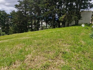 TERRENO EN VENTA, ALDEA EL PAJÓN, CAES — Terreno en Venta en Carretera a El Salvador, Guatemala, Ciudad — miniatura 1 de 3