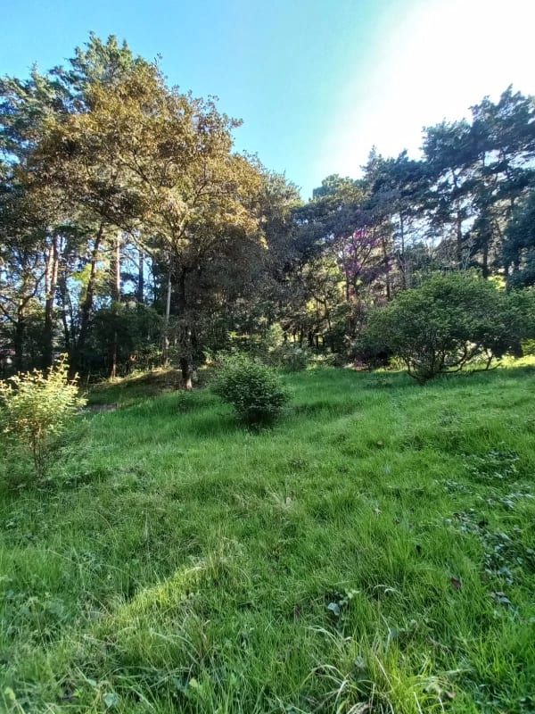 Terreno en venta en San Lucas Sacatepéquez, en Km 25 a 100 metros de ruta principal. Ideal para proyecto ecológico. — Terreno en Venta en San Lucas Sacatepéquez, Sacatepéquez — foto 6 de 7