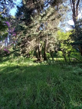 Terreno en venta en San Lucas Sacatepéquez, en Km 25 a 100 metros de ruta principal.  Ideal para proyecto ecológico. — Terreno en Venta en San Lucas Sacatepéquez, Sacatepéquez — miniatura 5 de 7