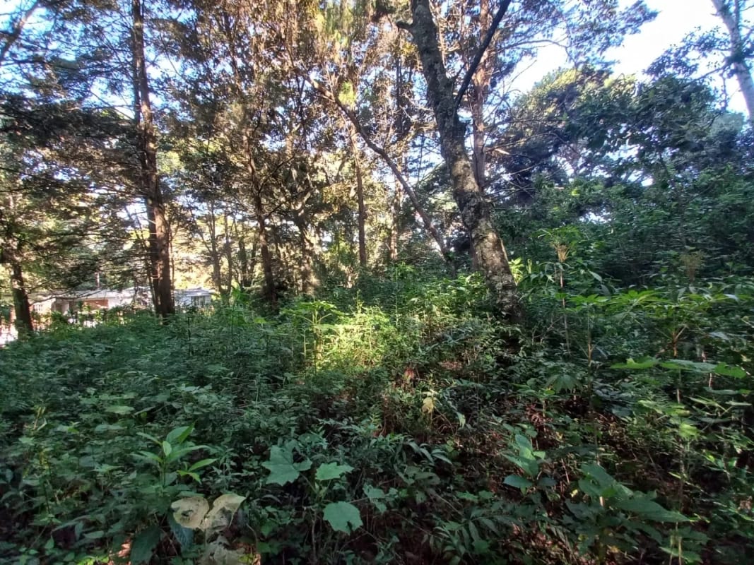 Terreno en venta en San Lucas Sacatepéquez, en Km 25 a 100 metros de ruta principal. Ideal para proyecto ecológico. — Terreno en Venta en San Lucas Sacatepéquez, Sacatepéquez — foto 4 de 7