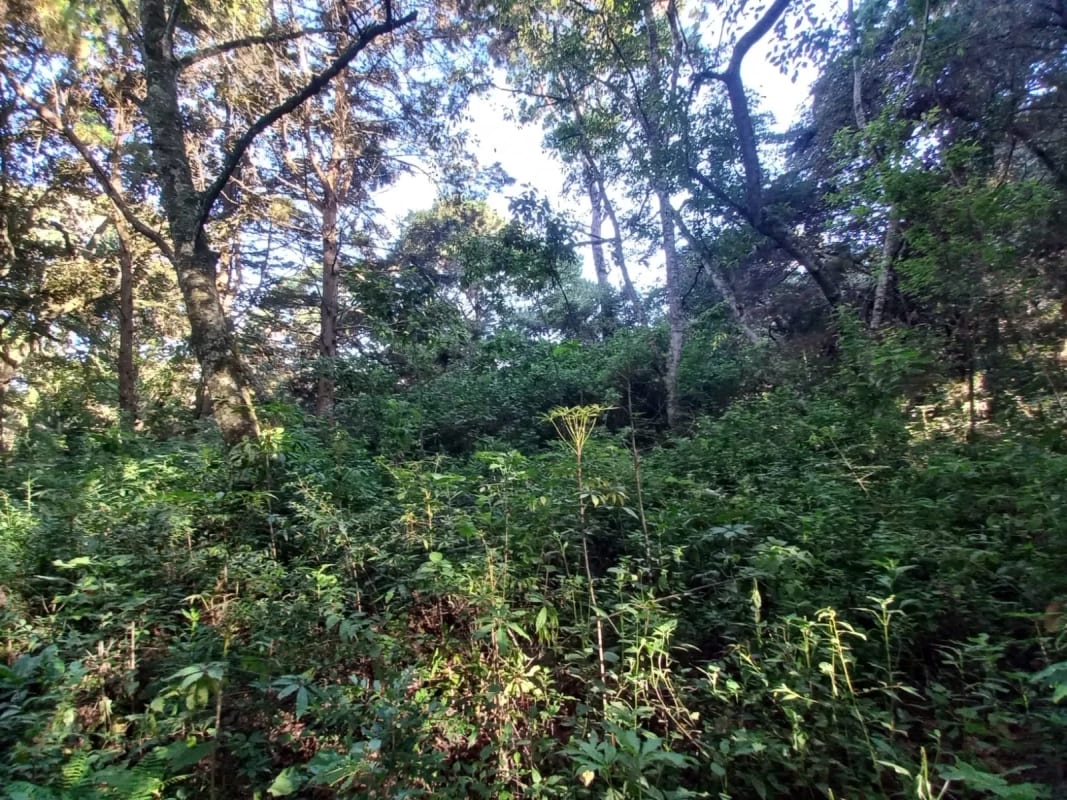 Terreno en venta en San Lucas Sacatepéquez, en Km 25 a 100 metros de ruta principal. Ideal para proyecto ecológico. — Terreno en Venta en San Lucas Sacatepéquez, Sacatepéquez — foto 3 de 7