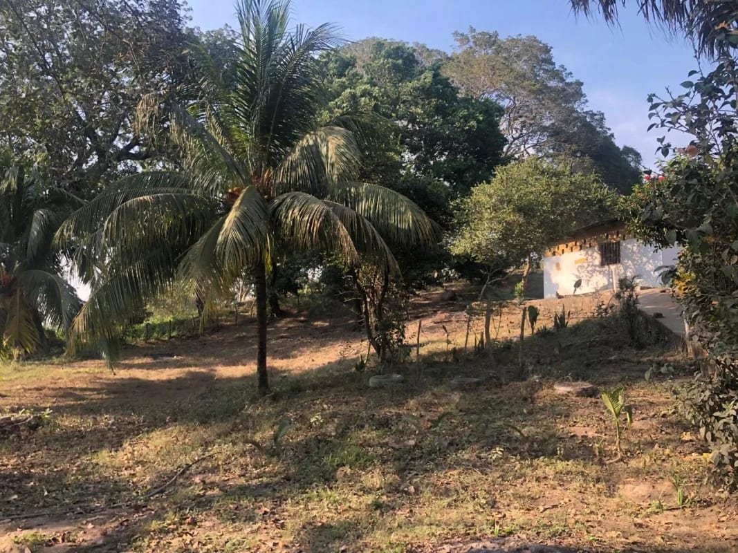 Terreno en Venta ( 4 manzanas ) a 10 minutos de Puerto Quetzal, Escuintla — Finca en Venta en Masagua, Escuintla — foto 1 de 16