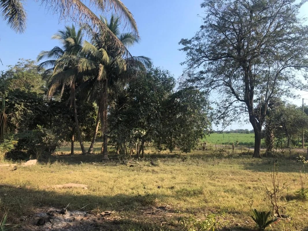 Terreno en Venta ( 4 manzanas ) a 10 minutos de Puerto Quetzal, Escuintla — Finca en Venta en Masagua, Escuintla — foto 16 de 16