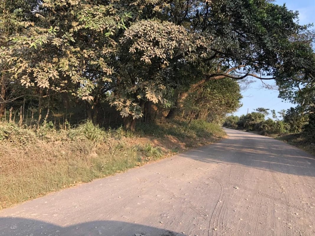 Terreno en Venta ( 4 manzanas ) a 10 minutos de Puerto Quetzal, Escuintla — Finca en Venta en Masagua, Escuintla — foto 15 de 16