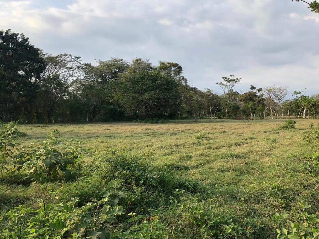 Terreno en Venta ( 4 manzanas ) a 10 minutos de Puerto Quetzal, Escuintla — Finca en Venta en Masagua, Escuintla — foto 14 de 16