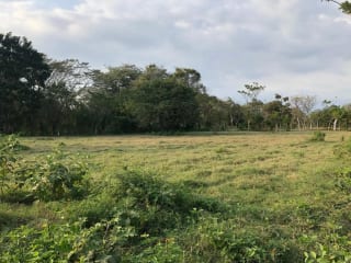 Terreno en Venta ( 4 manzanas ) a 10 minutos de Puerto Quetzal, Escuintla — Finca en Venta en Masagua, Escuintla — miniatura 14 de 16