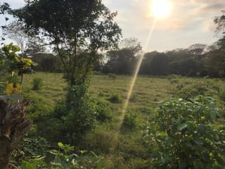 Terreno en Venta ( 4 manzanas ) a 10 minutos de Puerto Quetzal, Escuintla — Finca en Venta en Masagua, Escuintla — miniatura 13 de 16
