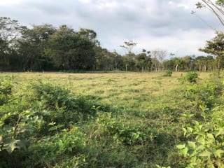 Terreno en Venta ( 4 manzanas ) a 10 minutos de Puerto Quetzal, Escuintla — Finca en Venta en Masagua, Escuintla — miniatura 11 de 16