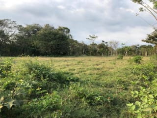 Terreno en Venta ( 4 manzanas ) a 10 minutos de Puerto Quetzal, Escuintla — Finca en Venta en Masagua, Escuintla — miniatura 10 de 16