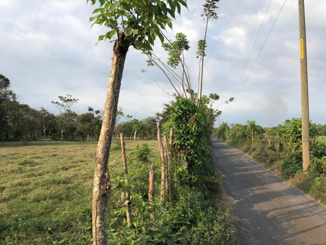 Terreno en Venta ( 4 manzanas ) a 10 minutos de Puerto Quetzal, Escuintla — Finca en Venta en Masagua, Escuintla — foto 9 de 16