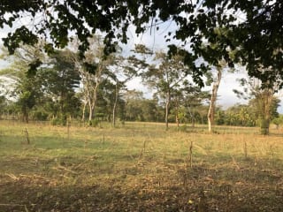 Terreno en Venta ( 4 manzanas ) a 10 minutos de Puerto Quetzal, Escuintla — Finca en Venta en Masagua, Escuintla — miniatura 7 de 16