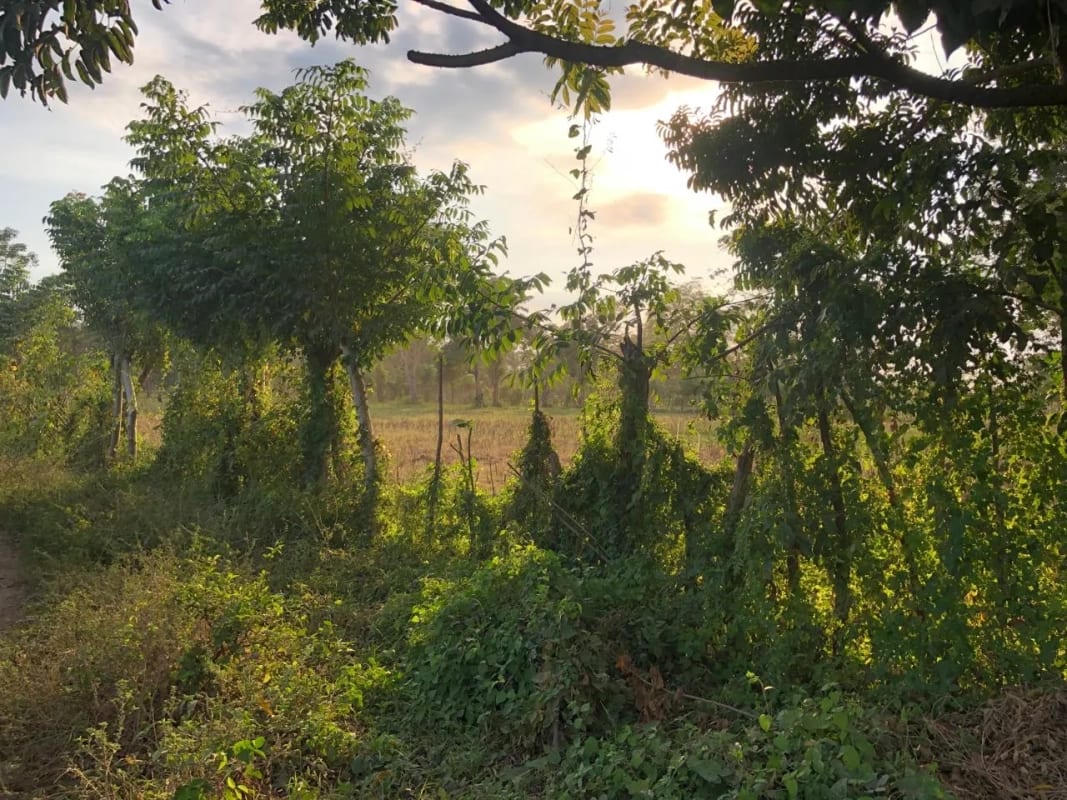 Terreno en Venta ( 4 manzanas ) a 10 minutos de Puerto Quetzal, Escuintla — Finca en Venta en Masagua, Escuintla — foto 2 de 16