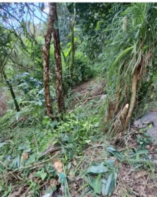 TERRENO EN VENTA EN LA MONTAÑA, ZONA 16 — Terreno en Venta en La Montaña, Zona 16, Guatemala, Ciudad — miniatura 4 de 9