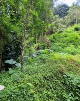TERRENO EN VENTA EN LA MONTAÑA, ZONA 16 — Terreno en Venta en La Montaña, Zona 16, Guatemala, Ciudad — miniatura 1 de 9