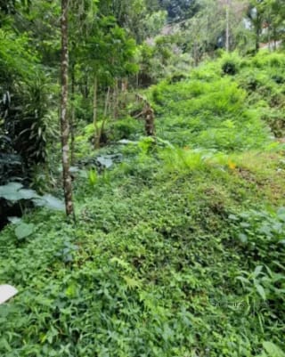 TERRENO EN VENTA EN LA MONTAÑA, ZONA 16 — Terreno en Venta en La Montaña, Zona 16, Guatemala, Ciudad — miniatura 2 de 9