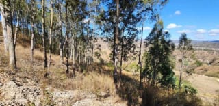 Terreno de 33 manzanas en palencia — Terreno en Venta en palencia, Guatemala, Ciudad — miniatura 5 de 7