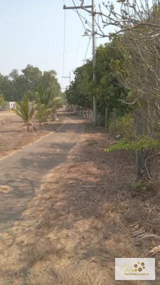 VENTA TERRENOS EN MONTERRICO — Terreno en Venta en Villas de Monterrico, Monterrico, Santa Rosa — miniatura 8 de 11