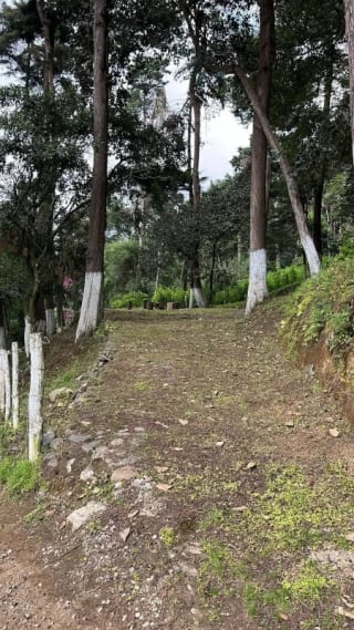Terreno en VENTA Santa Lucia Milpas Altas con Excelentes Vistas — Terreno en Venta en Santa Lucía Milpas Altas, Sacatepéquez — miniatura 6 de 9