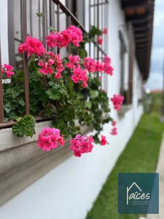 Casa PERLA en venta CLUB RES. LOS FRANCISCANOS ANTIGUA (D) — Casa en Venta en Catarina, Sacatepéquez — miniatura 8 de 16
