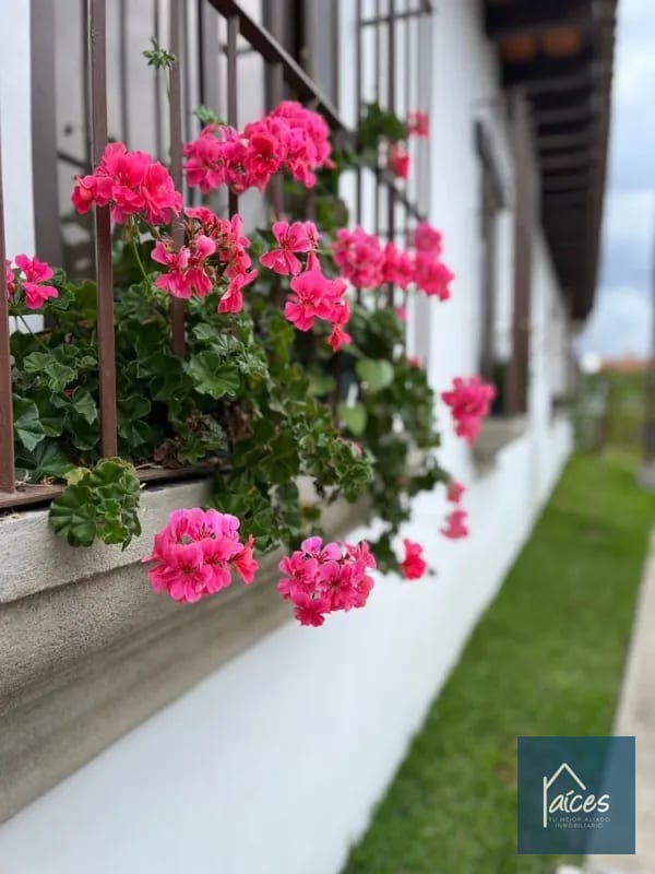 Casa PERLA en venta CLUB RES. LOS FRANCISCANOS ANTIGUA (D) — Casa en Venta en Catarina, Sacatepéquez — foto 8 de 16