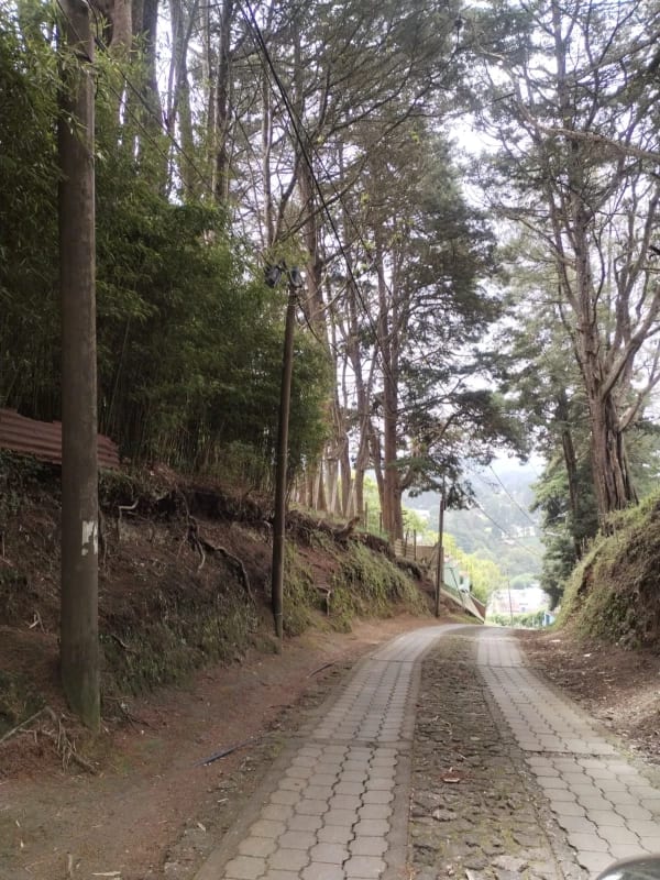 TERRENO EN VENTA, ALDEA EL PAJÓN, CAES — Terreno en Venta en Carretera a El Salvador, Guatemala, Ciudad — foto 2 de 3
