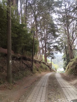 TERRENO EN VENTA, ALDEA EL PAJÓN, CAES — Terreno en Venta en Carretera a El Salvador, Guatemala, Ciudad — miniatura 2 de 3