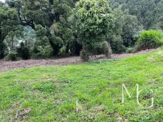 Se Vende Terreno en Terravista KM 16.5 Entrada a Olmeca — Terreno en Venta en Carretera a El Salvador, Guatemala, Ciudad — miniatura 3 de 3