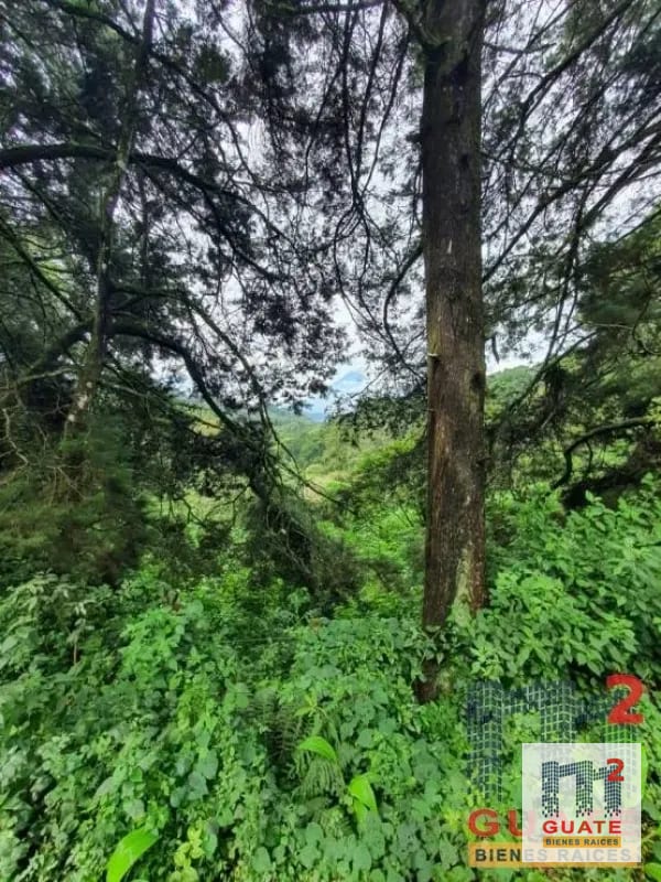 Terreno en Venta, Carretera a El Salvador — Terreno en Venta en Carretera a El Salvador, Guatemala, Ciudad — foto 3 de 8
