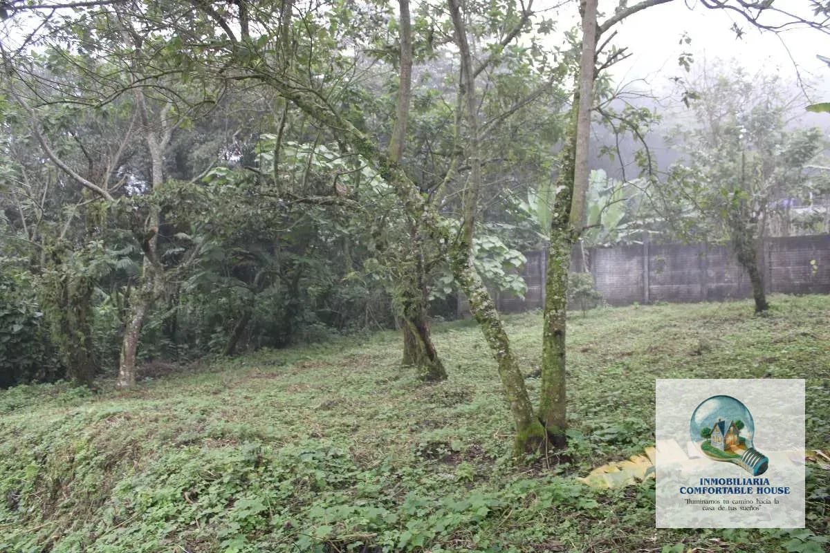 Terreno en Venta Santa María de Jesús, Quetzaltenango — Terreno en Venta en Quetzaltenango, Quetzaltenango — foto 7 de 16