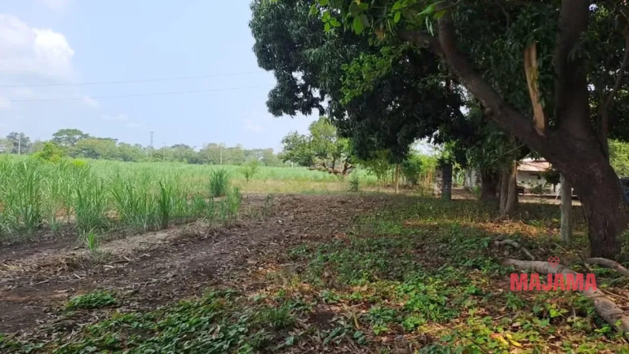 TERRENO EN VENTA EN ESCUINTLA, CODIGO 128_TV1 — Terreno en Venta en Escuintla, Escuintla — foto 1 de 1