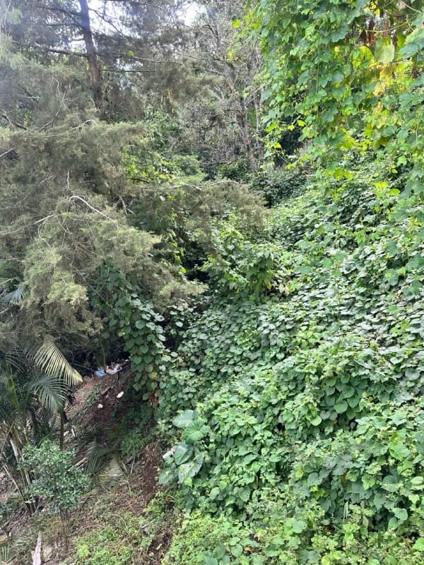 Terreno en venta La Montaña, zona 16 — Terreno en Venta en La Montaña, Zona 16, Guatemala, Ciudad — foto 3 de 6