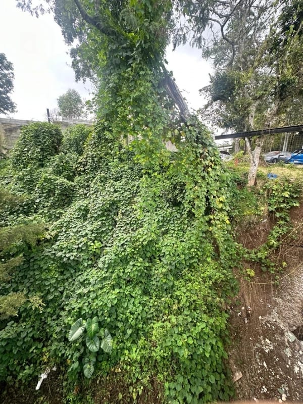 Terreno en venta La Montaña, zona 16 — Terreno en Venta en La Montaña, Zona 16, Guatemala, Ciudad — foto 2 de 6