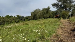 Terreno en Venta KM16.5 CAES — Terreno en Venta en Carretera a El Salvador, Guatemala, Ciudad — miniatura 1 de 3
