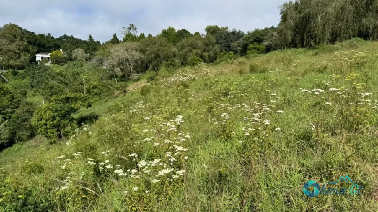 Terreno en Venta KM16.5 CAES — Terreno en Venta en Carretera a El Salvador, Guatemala, Ciudad — foto 3 de 3