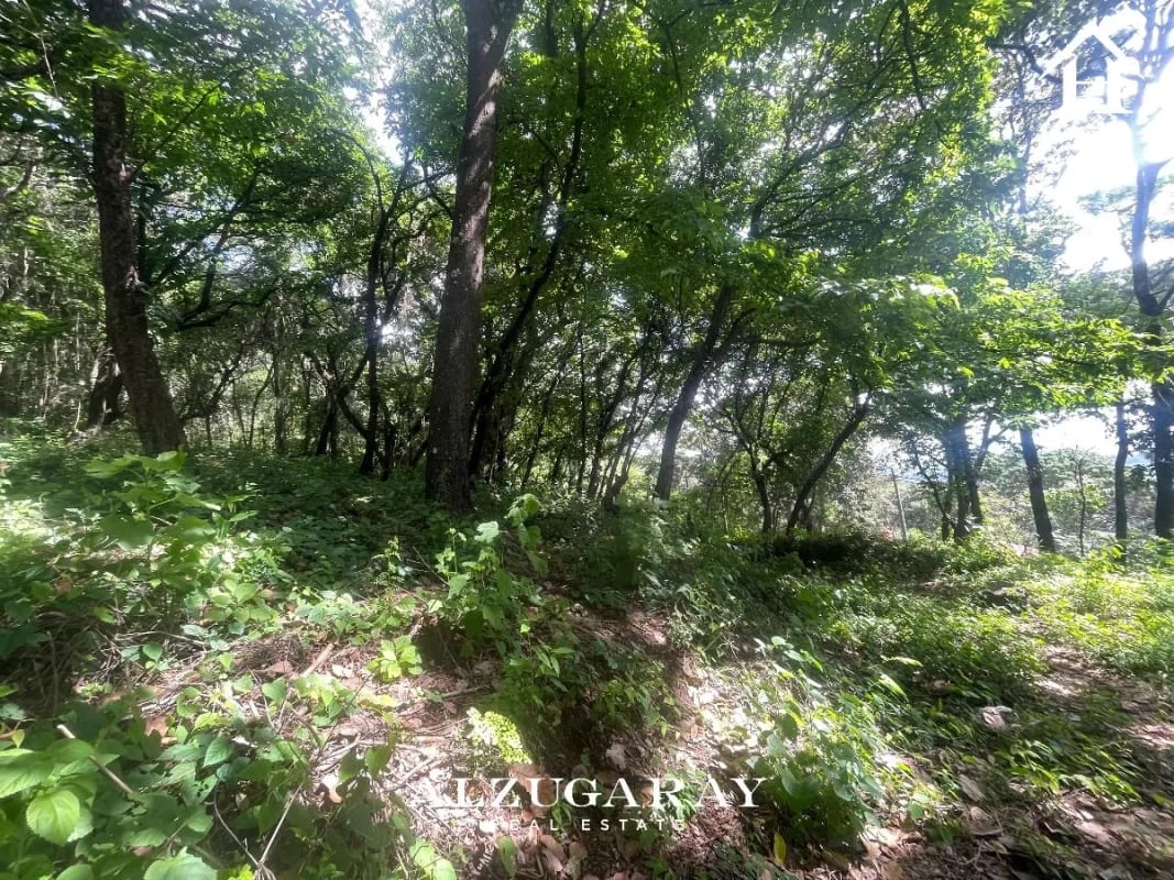 TERRENO RESIDENCIAL AMPLIO 4,198 VR2 / EL ENCINAL MIXCO — Terreno en Venta en Zona 7 Mixco, Guatemala, Ciudad — foto 4 de 10