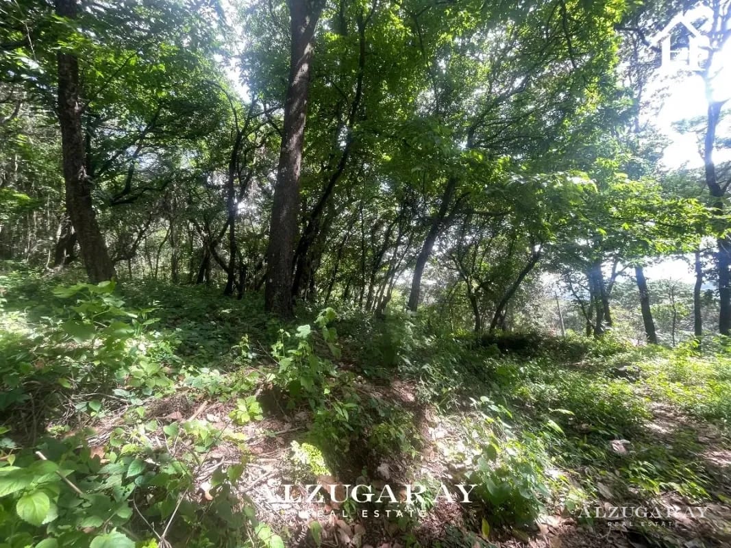 TERRENO RESIDENCIAL AMPLIO 4,198 VR2 / EL ENCINAL MIXCO — Terreno en Venta en Zona 7 Mixco, Guatemala, Ciudad — foto 4 de 10