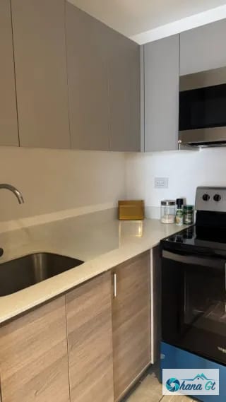 APARTAMENTO AMUEBLADO EN RENTA ZONA 10 EDIF. PARQUE 10 — Apartamento en Alquiler en Parque 10, Zona 10, Guatemala, Ciudad — miniatura 4 de 9