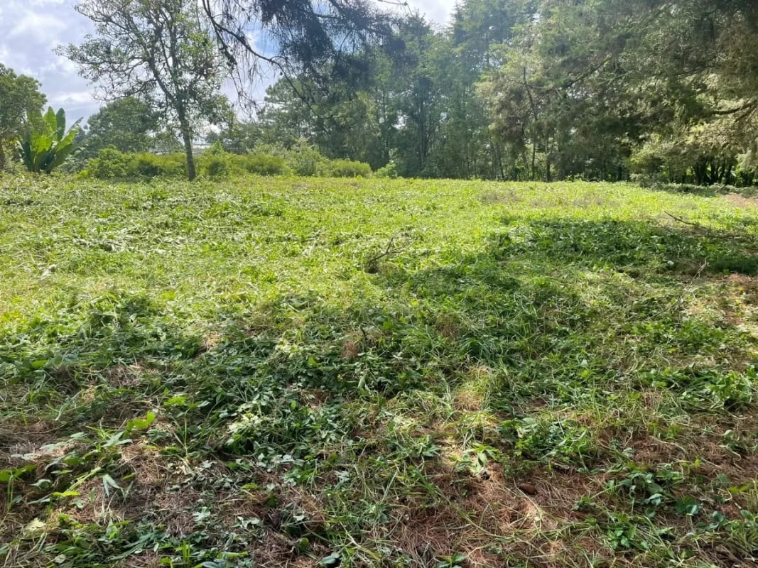 TERRENO IDEAL PARA DESARROLLO VIVIENDA TERRENO EN KM 16 — Terreno en Venta en Carretera a El Salvador, Guatemala, Ciudad — foto 3 de 3