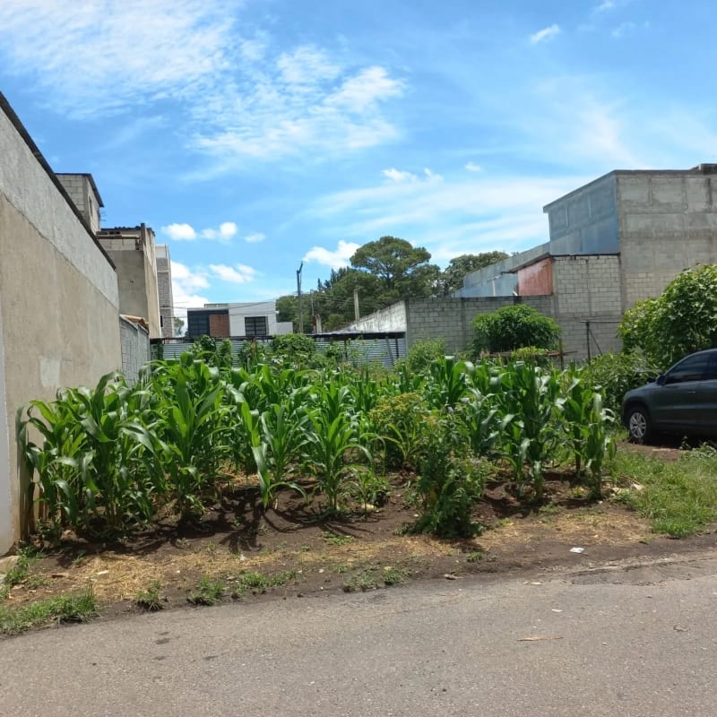 TERRENO SAN CRISTOBAL 1 SECTOR C1 — Terreno en Venta en Zona 8 Mixco, Guatemala, Ciudad — foto 1 de 2
