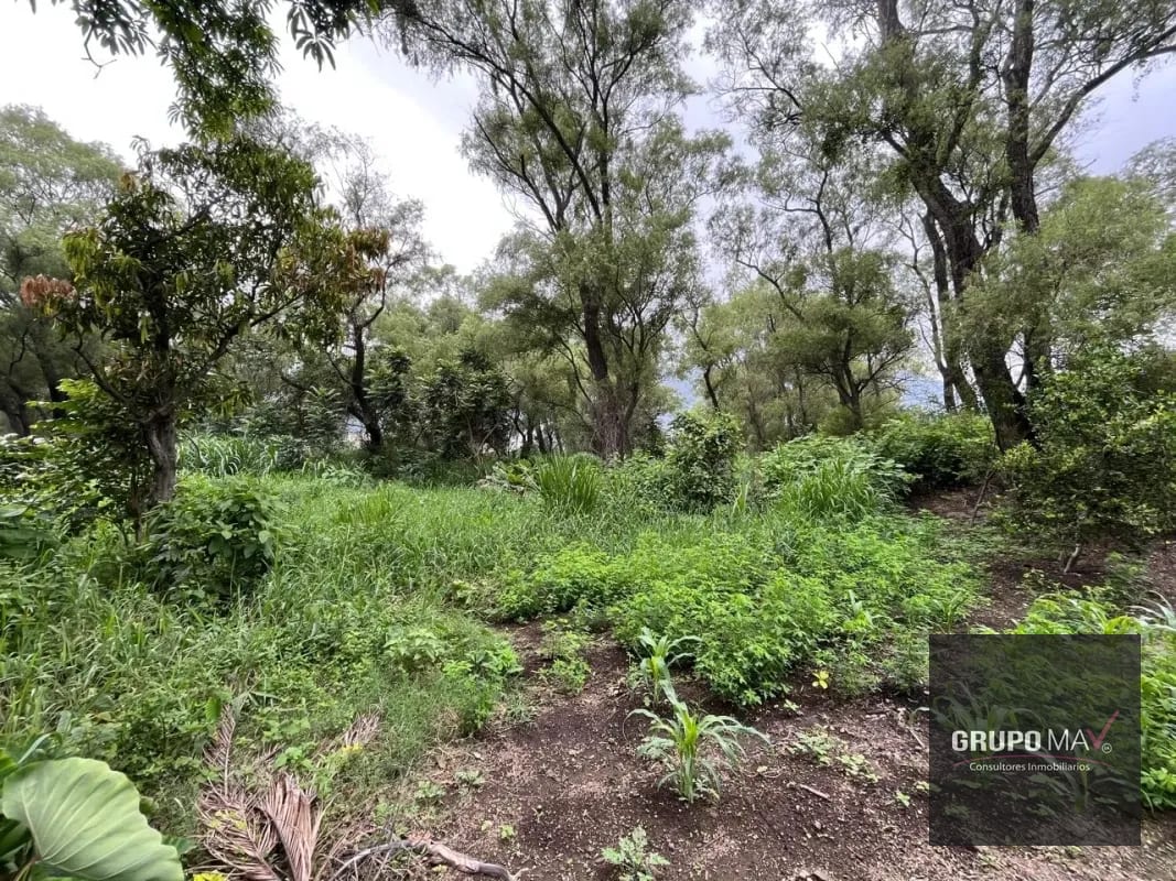Terreno Los Sauces Km.37 Palín Escuintla — Terreno en Venta en Escuintla, Escuintla — foto 4 de 6