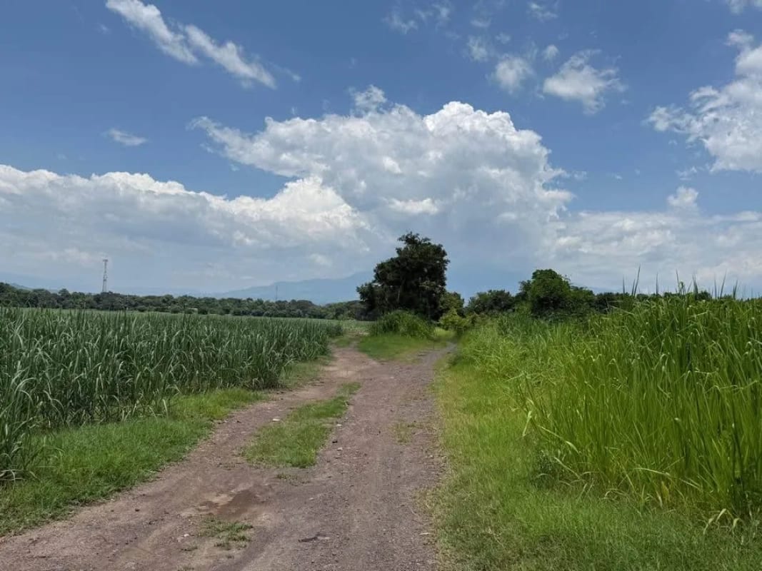 Terreno en Guanagazapa, Km 84 Escuintla — Terreno en Venta en Guanagazapa, Escuintla — foto 1 de 4