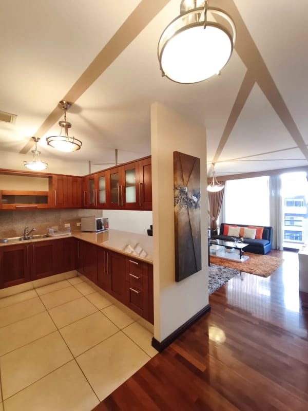Apartamento Amueblado en Venta y Renta en Zona 14 — Apartamento en Alquiler en Zona 14, Guatemala, Ciudad — foto 4 de 17