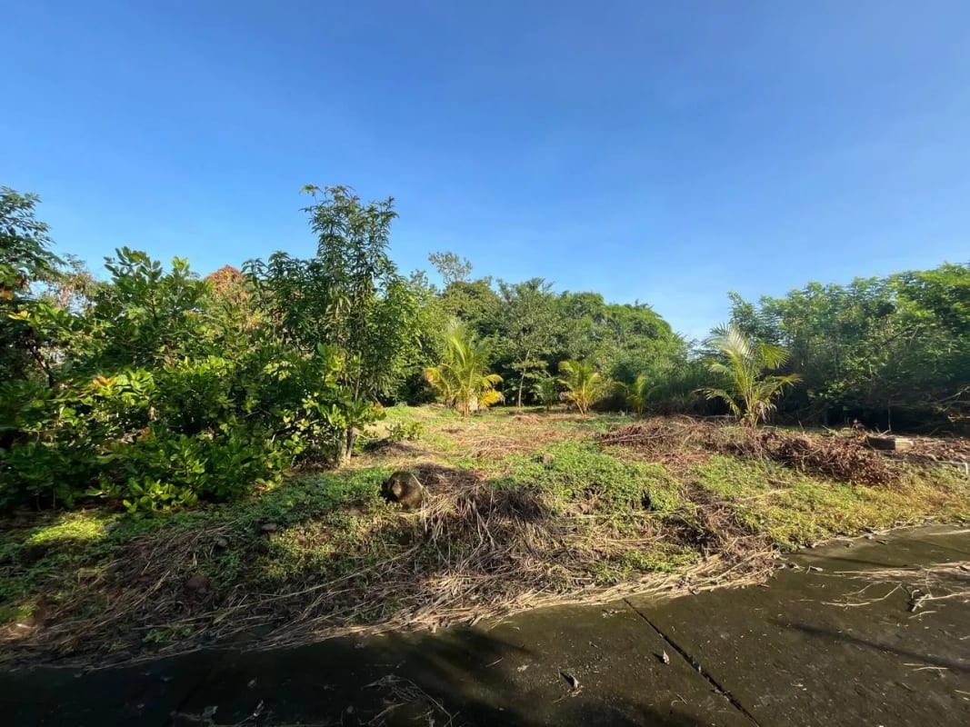 Terreno en Venta - La poderosa - Km 77 Autopista a Pto. Quetzal. — Terreno en Venta en Puerto Quetzal, Escuintla — foto 7 de 8