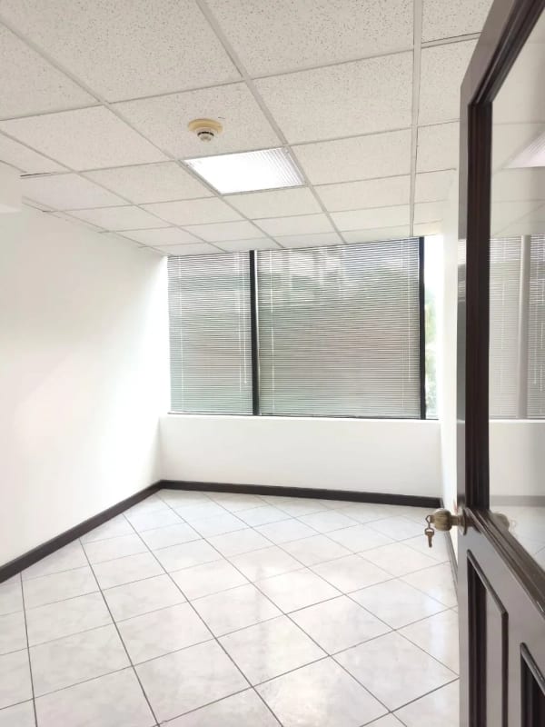 Oficina en Renta zona 14 — Oficina en Alquiler en Zona 14, Guatemala, Ciudad — foto 7 de 11