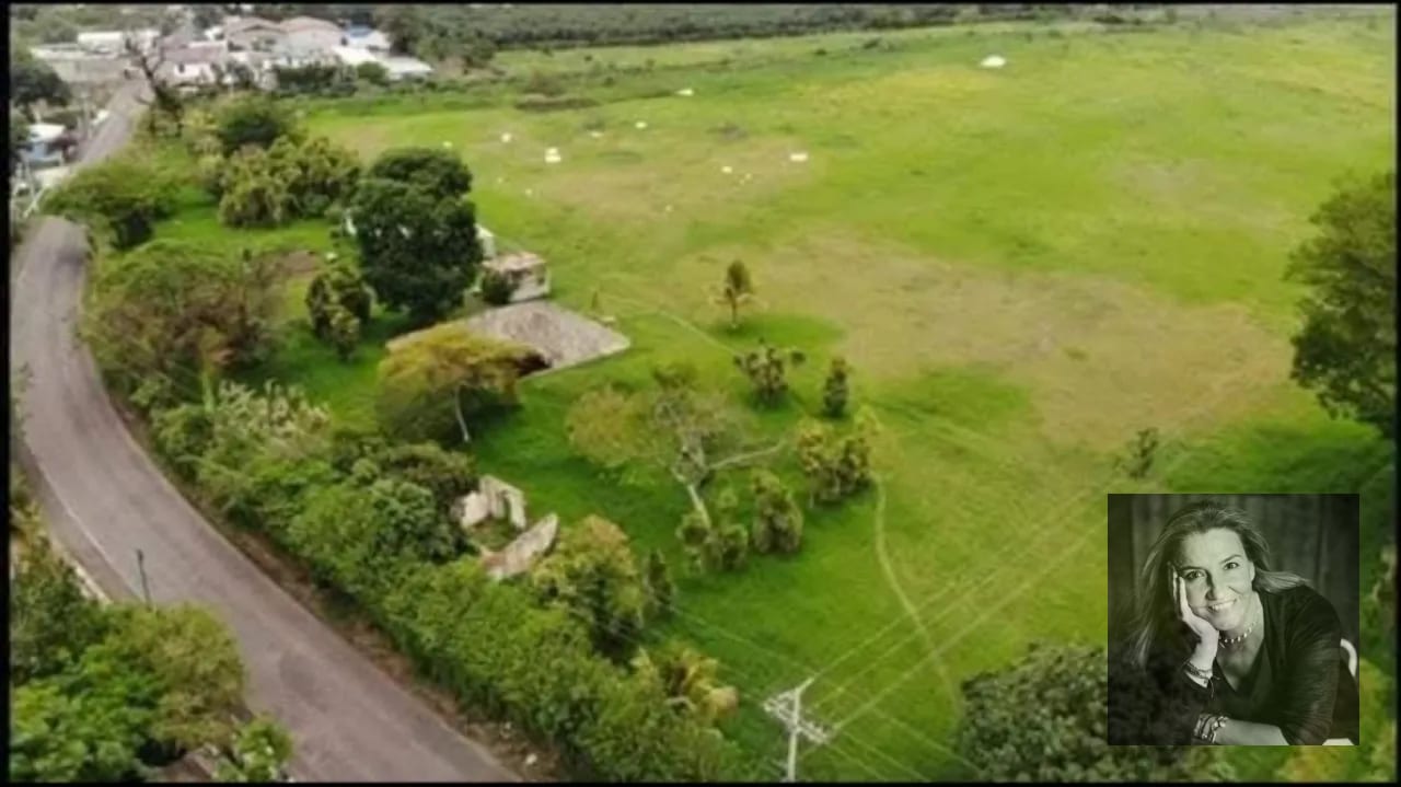 TERRENO EN VENTA – AMATITLÁN 📍 Circunvalación del Lago | Frente a asfalto — Terreno en Venta en Amatitlán, Guatemala, Ciudad — foto 7 de 15