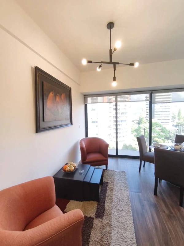 Apartamento  Amueblado en Renta - Zona 10 (Opción a Venta) — Apartamento en Alquiler en Zona 10, Guatemala, Ciudad — foto 10 de 17