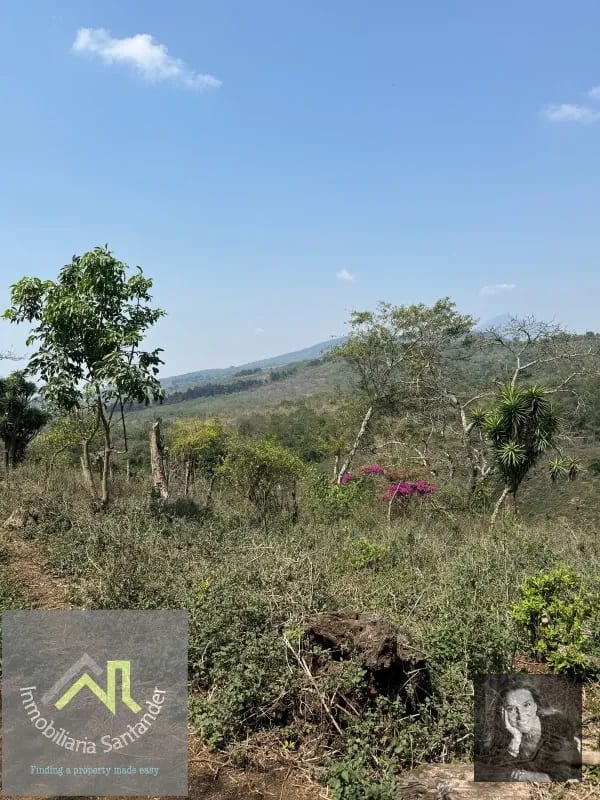 Ideal DESARROLLO/ Terreno en Venta Km 25.5 CES — Terreno en Venta en km 21-25, Carretera a El Salvador, Guatemala, Ciudad — foto 6 de 11