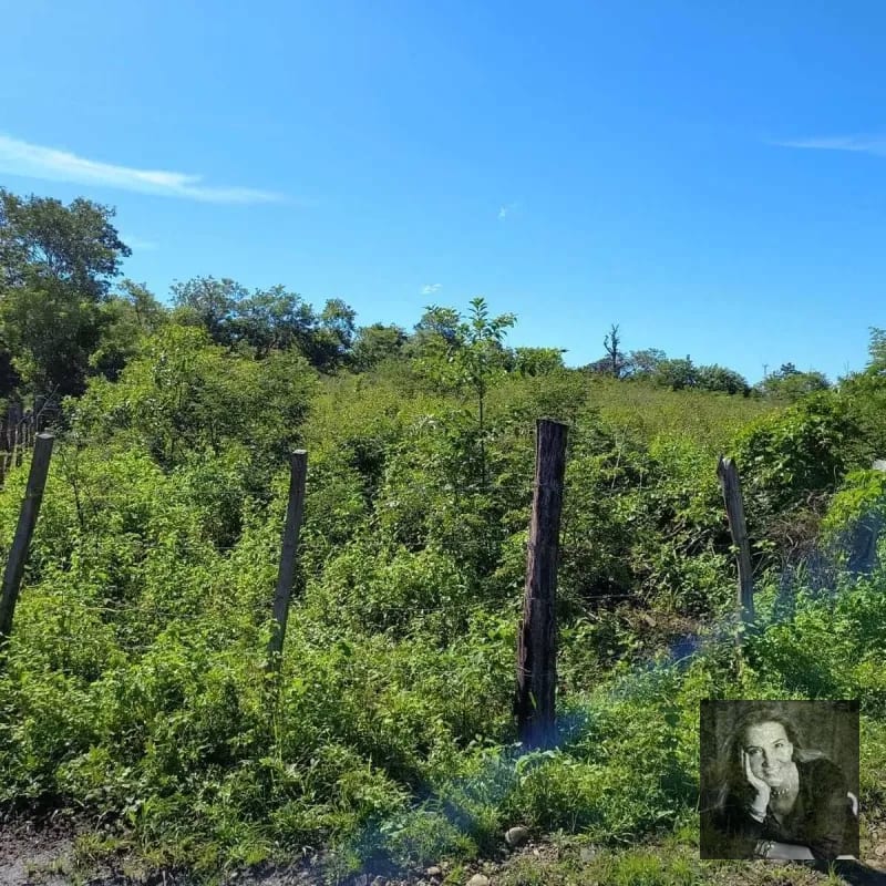 ORATORIO / Km.92 Carretera Salvador Ideal para hacer bodegas o lotificar — Terreno en Venta en Pueblo Nuevo Viñas, Santa Rosa — foto 5 de 5